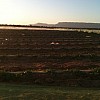 img 0919