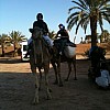 img 3074